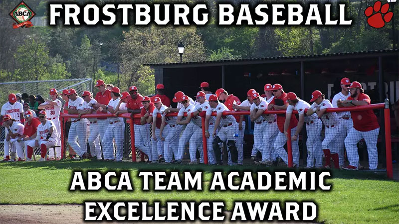 baseball team award